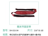 海绵久久久水蜜桃国产成人影院有什么特点？